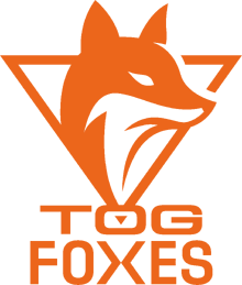 Team Orange Gaming logo